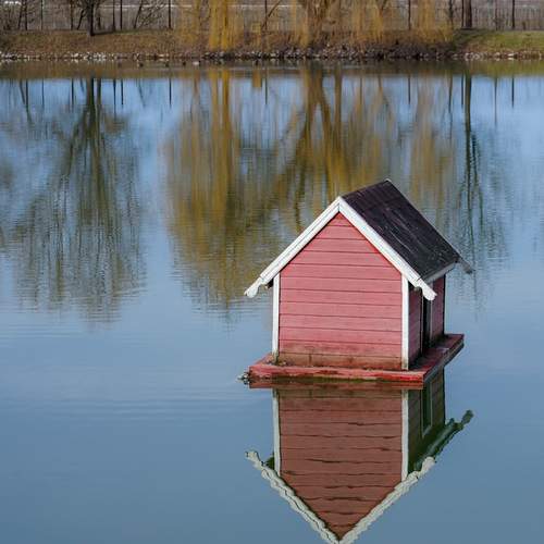 Photo #12322757