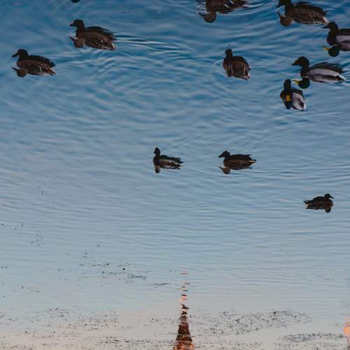 Photo #12322810