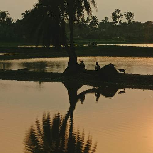 Photo #12322882