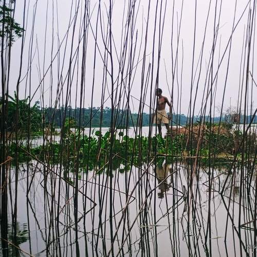 Photo #12322895