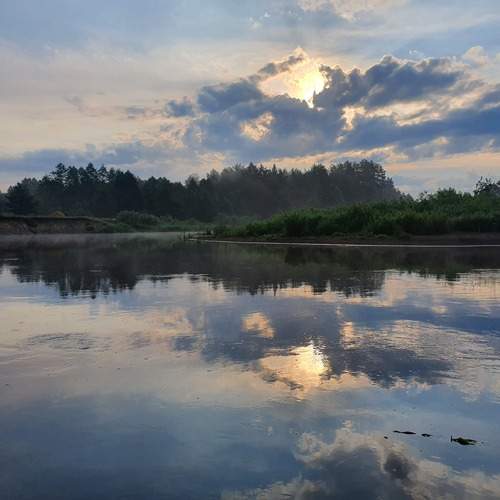Photo #12322911