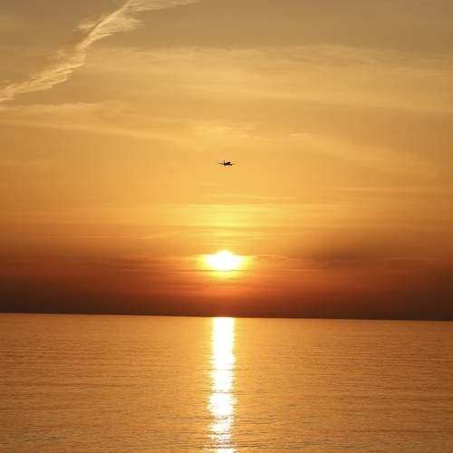 Photo #12322968
