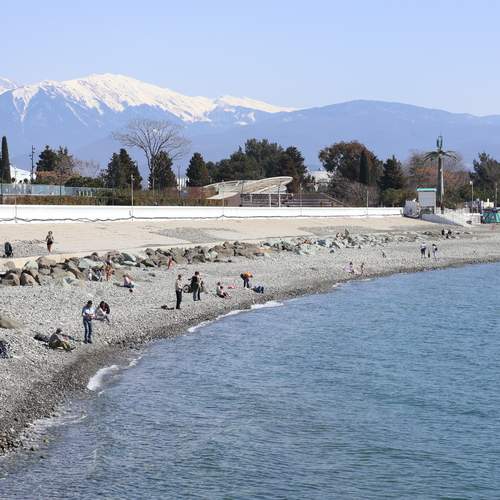 Photo #12322971