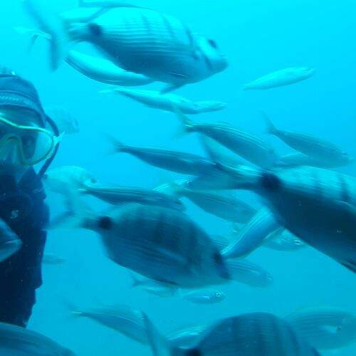Photo #12323011