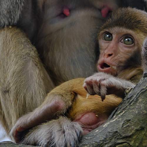 Photo #12323053