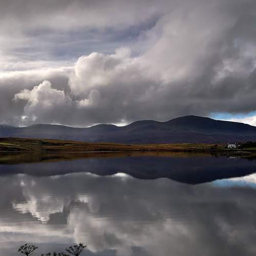 Photo #12323138