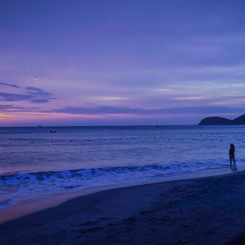 Photo #12323313