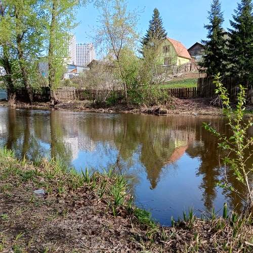 Photo #12323510