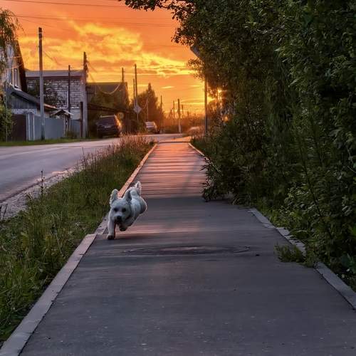 Photo #12323539