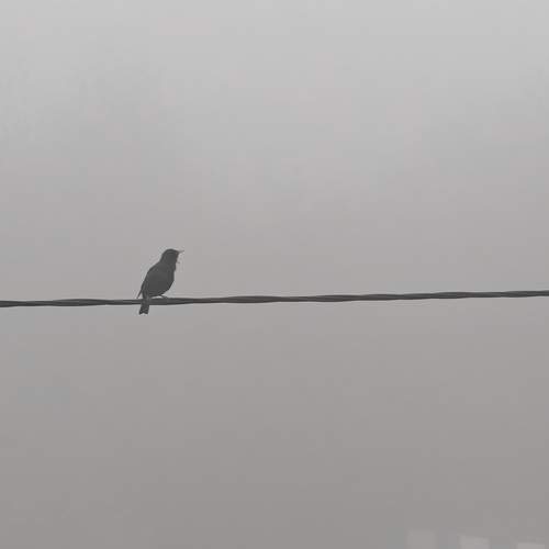 Photo #12324088