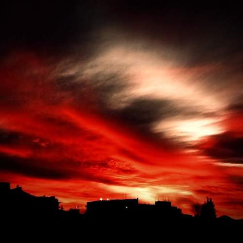 Photo #12324122