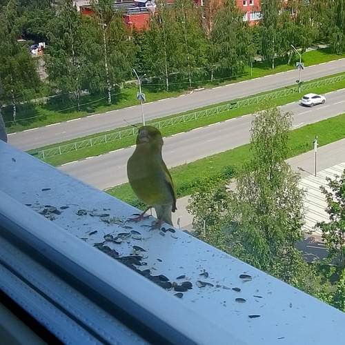 Photo #12324155