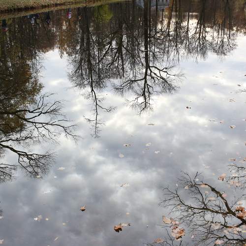 Photo #12324472