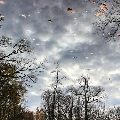 Photo #12324481