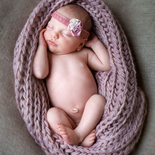 Photo #12324513
