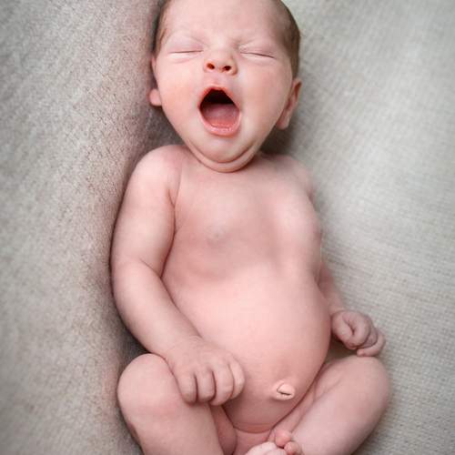 Photo #12324515