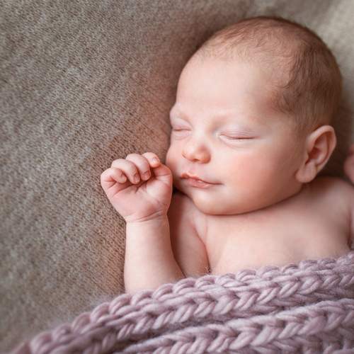 Photo #12324516