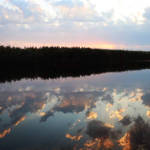 Photo #12324634
