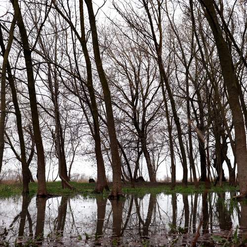 Photo #12324638
