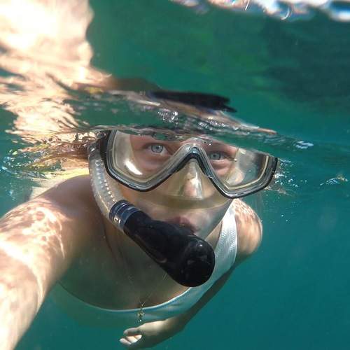 Photo #12324643