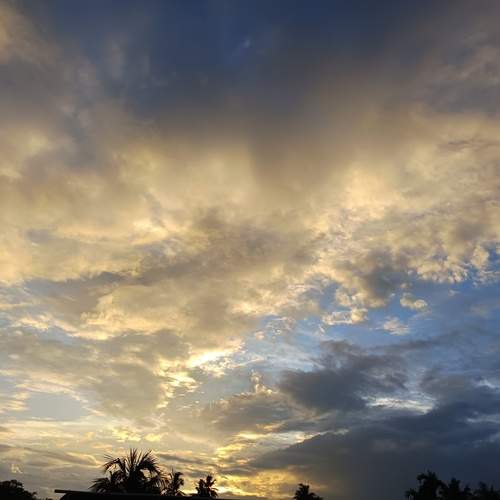 Photo #12324692