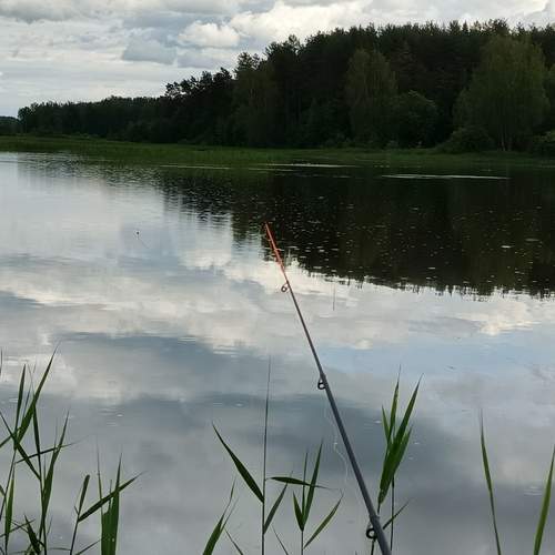 Photo #12324912