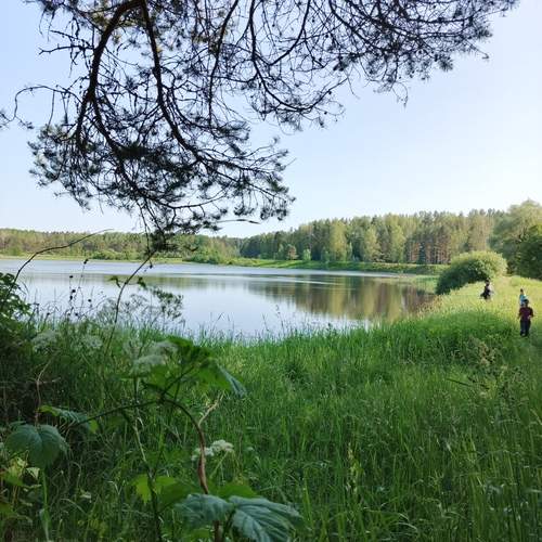 Photo #12324926