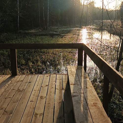 Photo #12324937