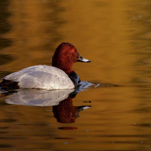 Photo #12325002
