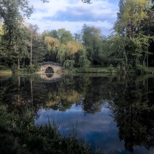 Photo #12325120