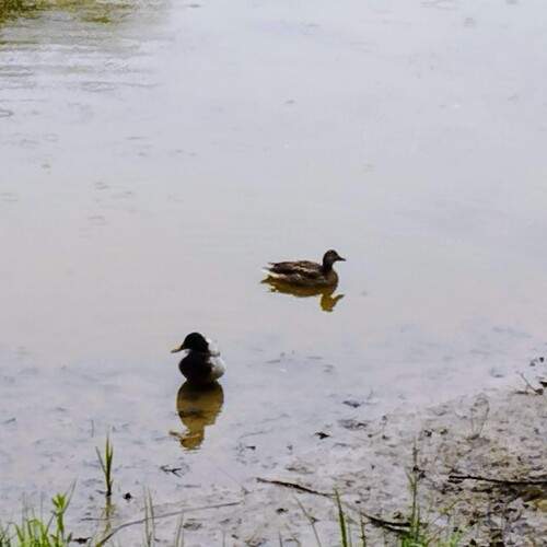 Photo #12325124