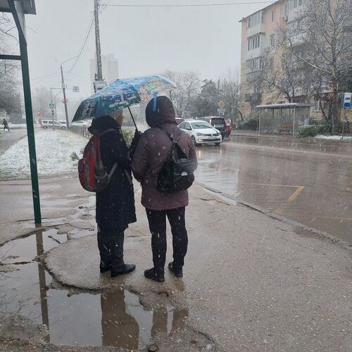 Photo #12325232