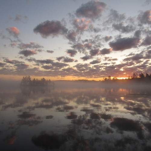 Photo #12325699