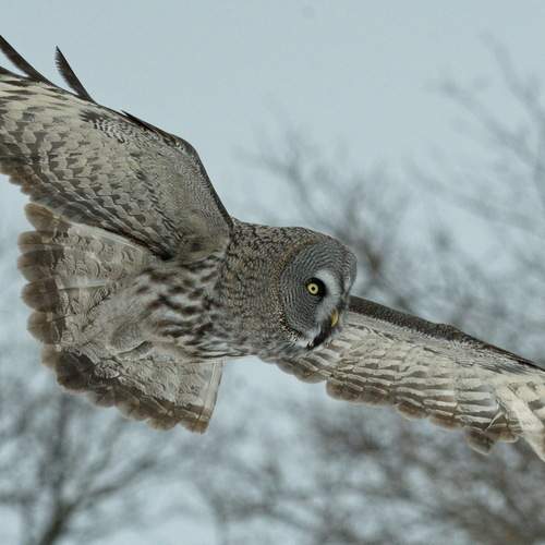 Photo #12325703