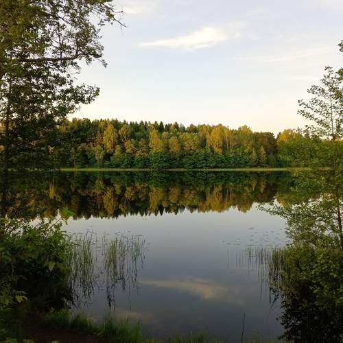 Photo #12325791