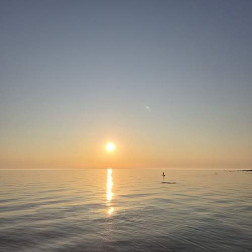 Photo #12325811