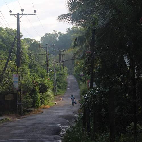 Photo #12326118