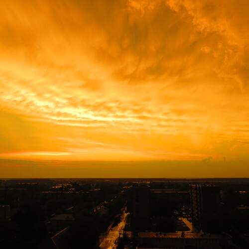 Photo #12326172