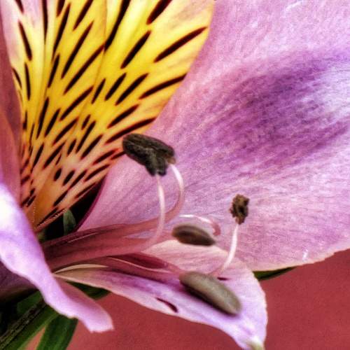 Photo #12326385