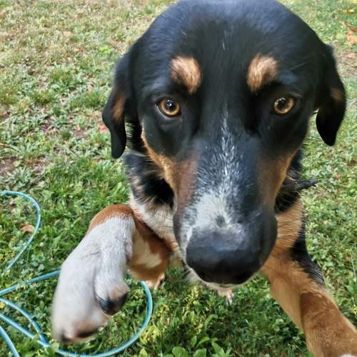 Photo #12326682