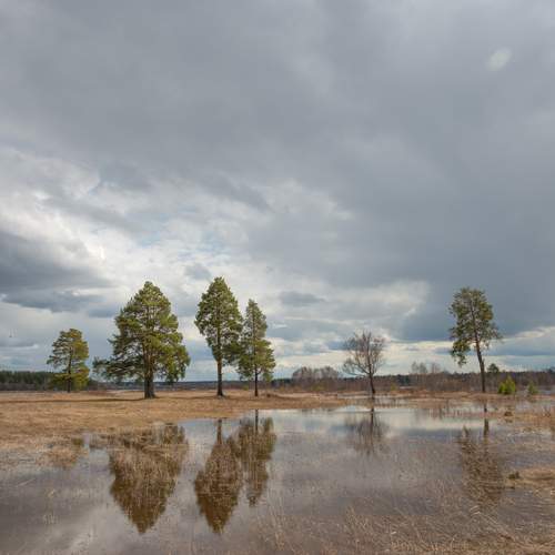 Большая лужа