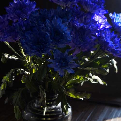 Photo #12326938
