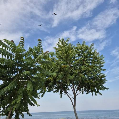 Photo #12326972