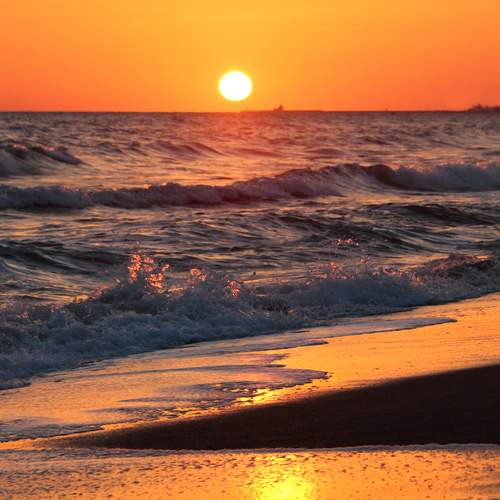 Photo #12327048