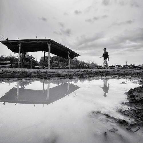 Photo #12327374