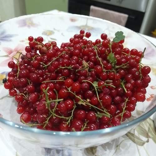 Photo #12327471
