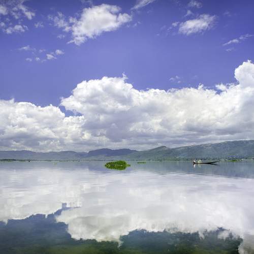 Photo #12327482