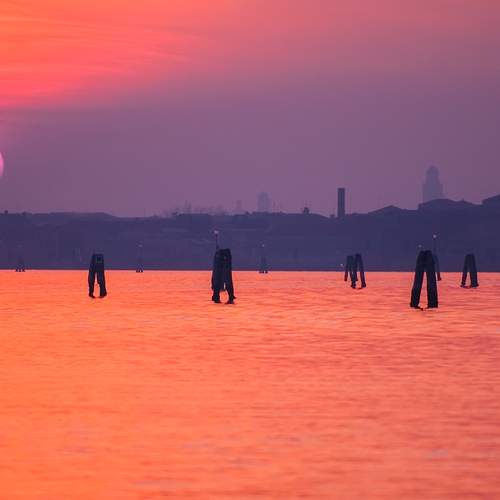 Photo #12327688