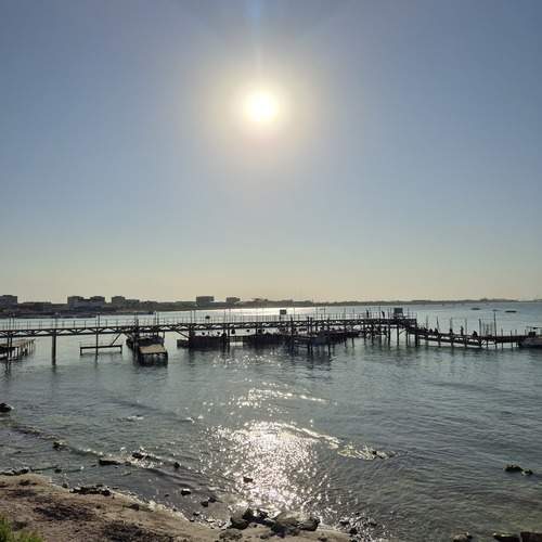 Photo #12327715