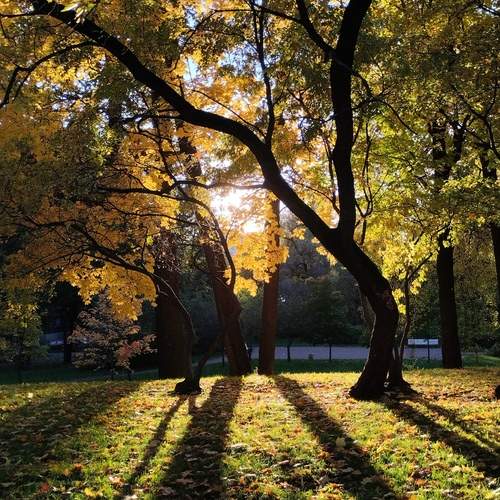 Photo #12327734